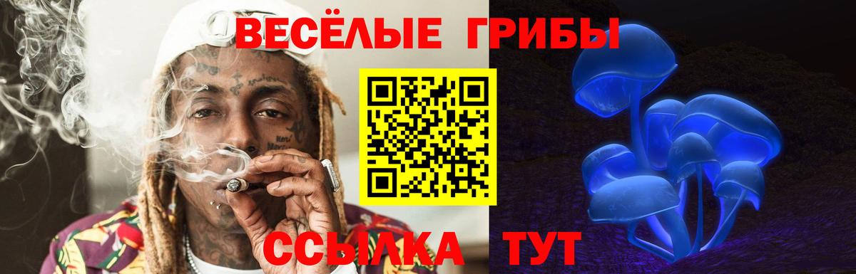 Галлюциногенные грибы мухоморы Новозыбков