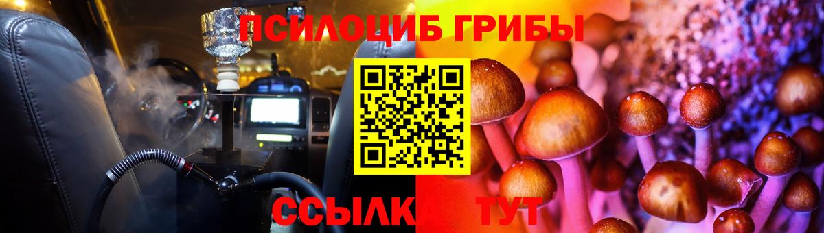 Новозыбков  наркота  Вход с VPN  Галлюциногенные грибы Psilocybine cubensis 